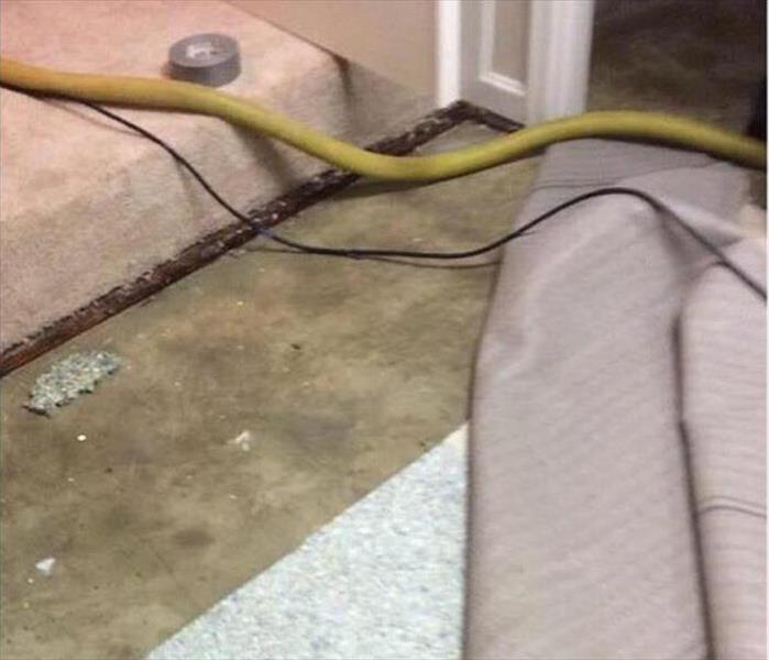 Water Damaged Carpet in Orlando