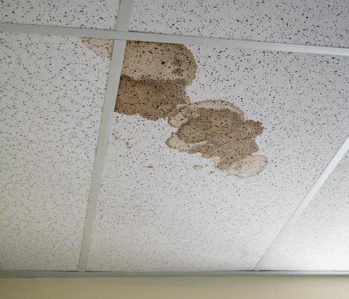Office Water Damage