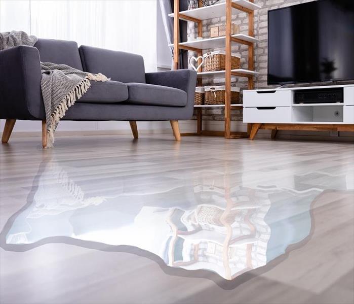 Water pooling on living room floor.  Also shows sofa and TV